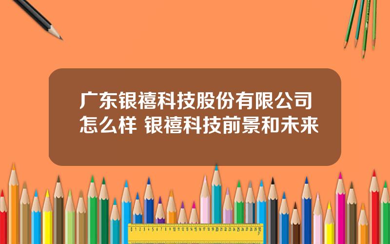 广东银禧科技股份有限公司怎么样 银禧科技前景和未来